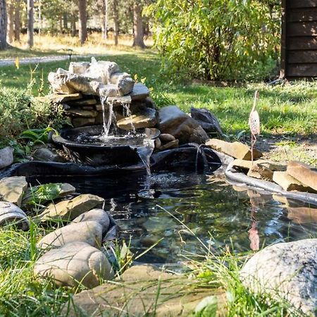 Rustic Cozy Cabin With Hot Tub Bragg Creek Exterior photo